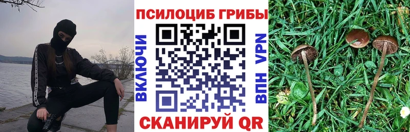 Псилоцибиновые грибы Psilocybe  Мураши 
